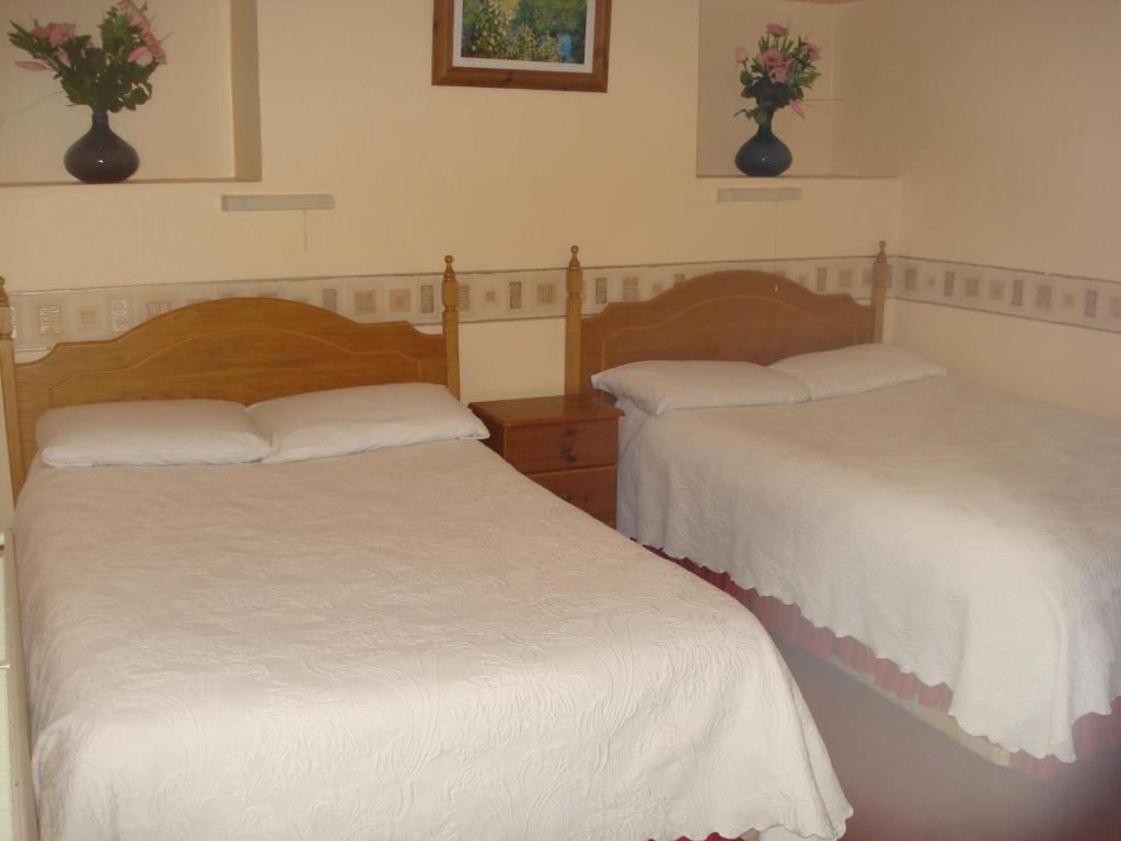St. George Guest House 威克斯福德 外观 照片